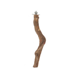 Jungle Vine str Medium